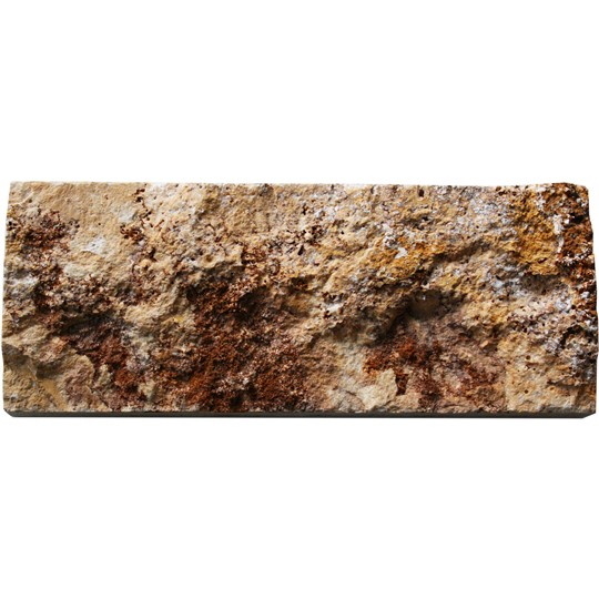 PRD3BAF1816_10xBS_scabas_patlatma