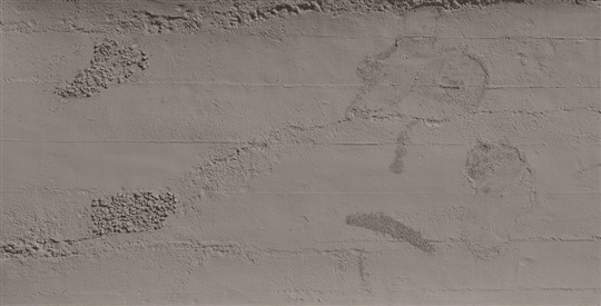 PRDEA7F363C_PC_1402
